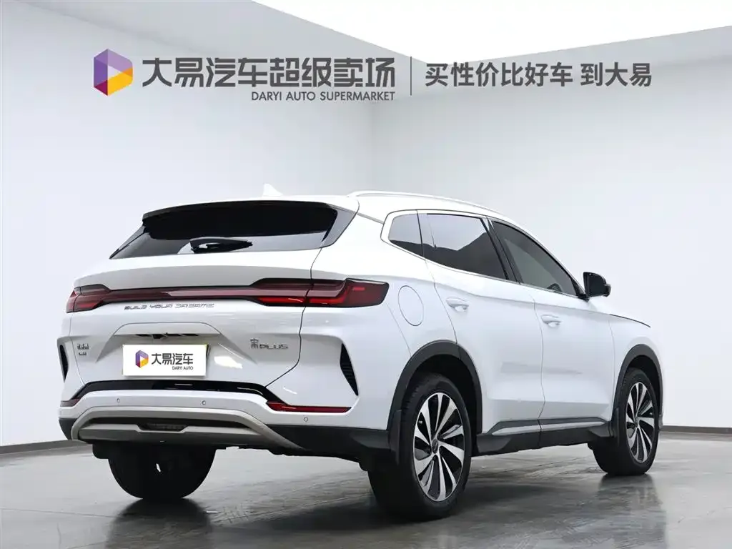 BYD PLUS New Energy 2024 из CN, фото 2