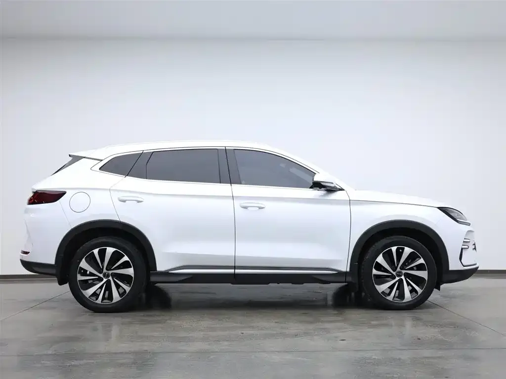 BYD PLUS New Energy 2024 из CN, фото 4