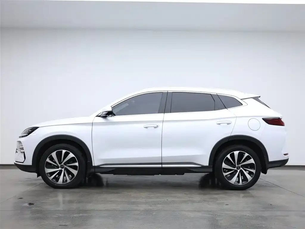 BYD PLUS New Energy 2024 из CN, фото 3