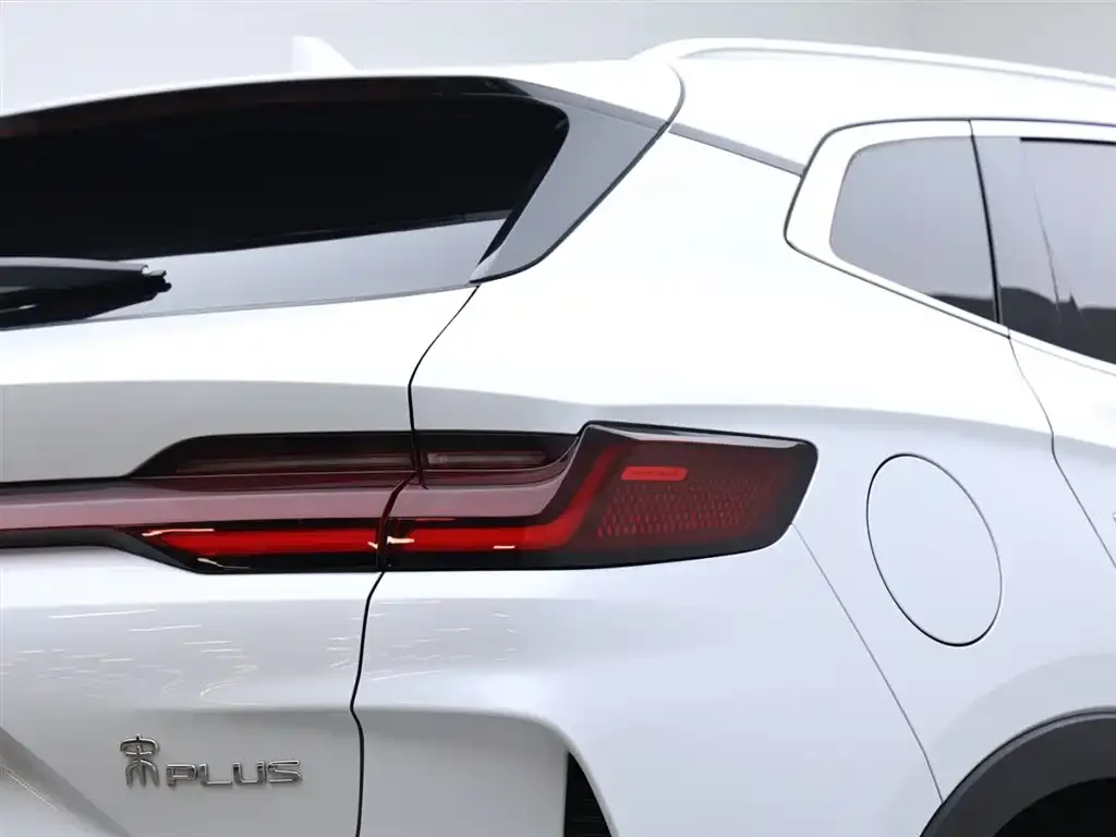 BYD PLUS New Energy 2024 из CN, фото 8