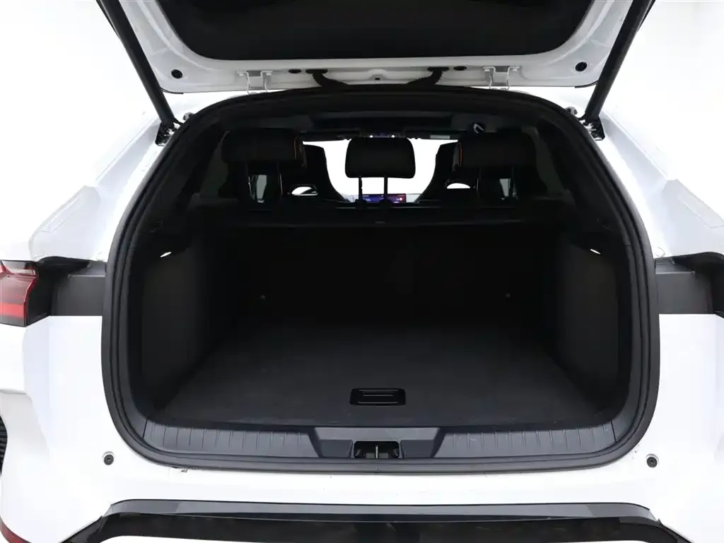 BYD PLUS New Energy 2024 из CN, фото 10