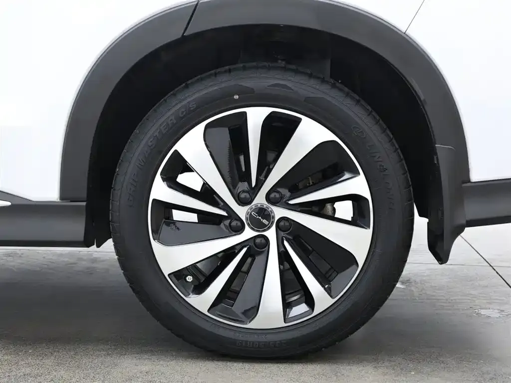 BYD PLUS New Energy 2024 из CN, фото 9