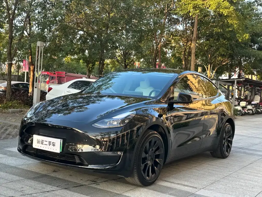 Tesla Model Y 2023 из CN, фото 1
