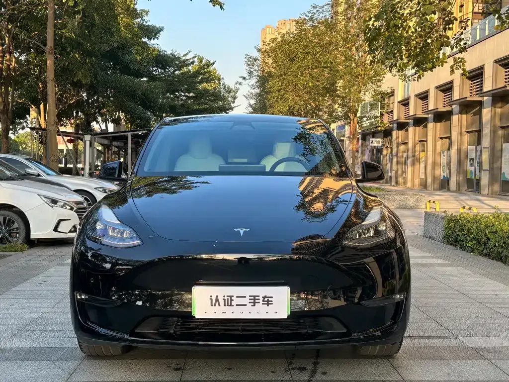 Tesla Model Y 2023 из CN, фото 10