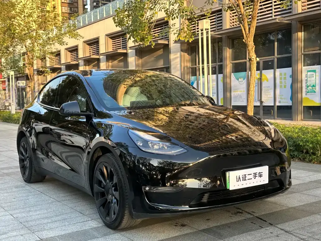 Tesla Model Y 2023 из CN, фото 6