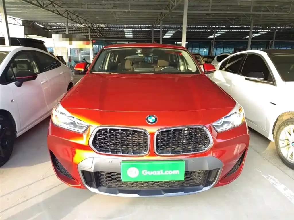 BMW X2 2023 из CN, фото 2