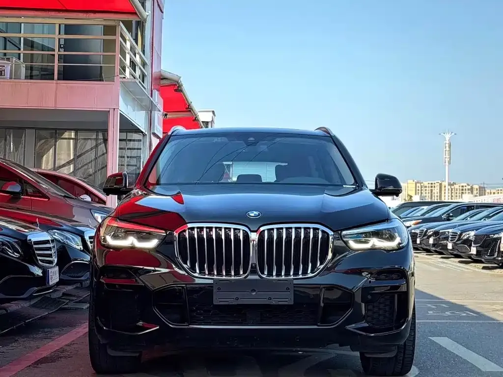 BMW X5 (Import) 2022 из CN, фото 9