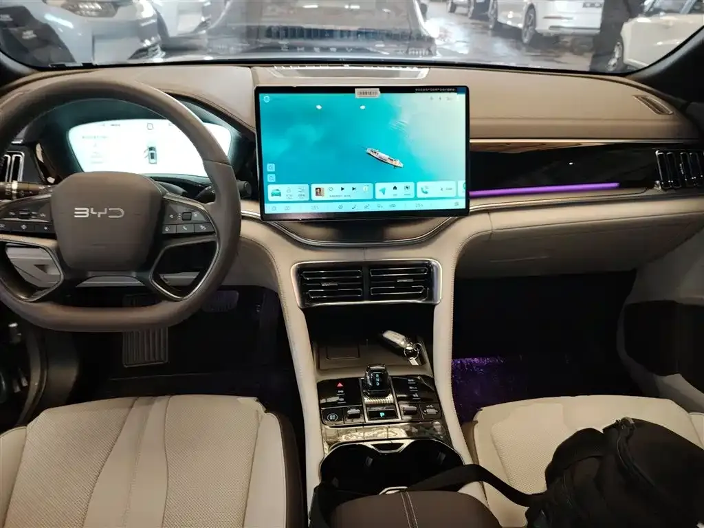 BYD PLUS New Energy 2025 из CN, фото 8