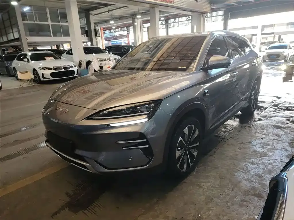 BYD PLUS New Energy 2025 из CN, фото 10