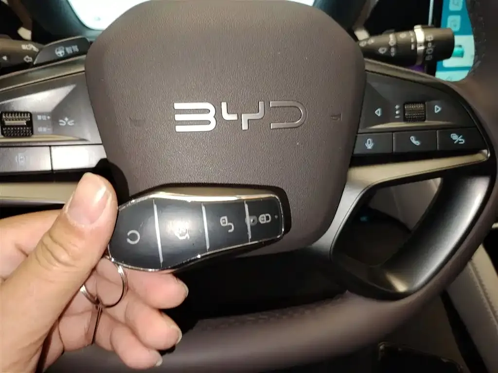 BYD PLUS New Energy 2025 из CN, фото 5