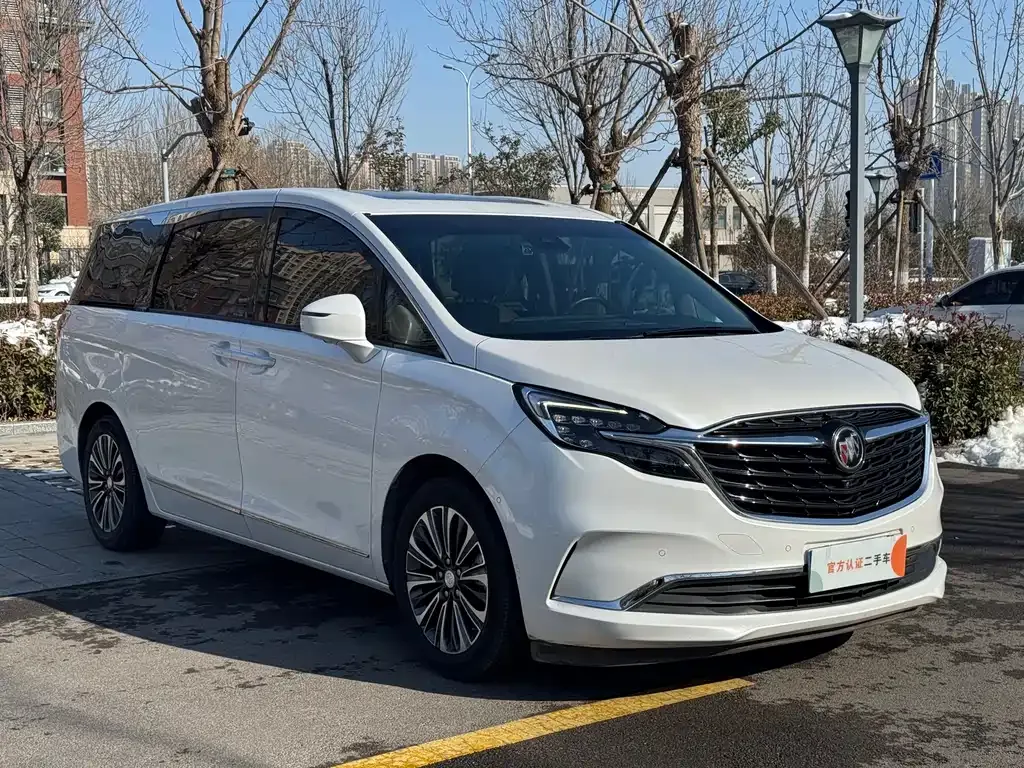 Buick GL8 2021 из CN, фото 10