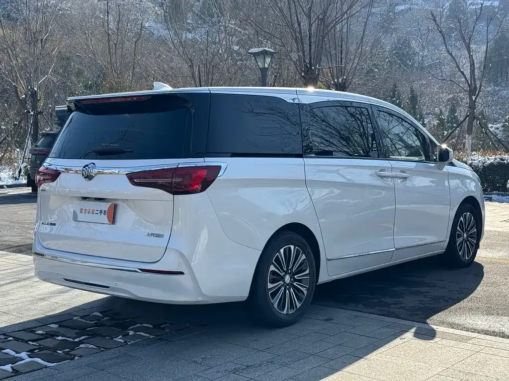 Buick GL8 2021 из CN, фото 6