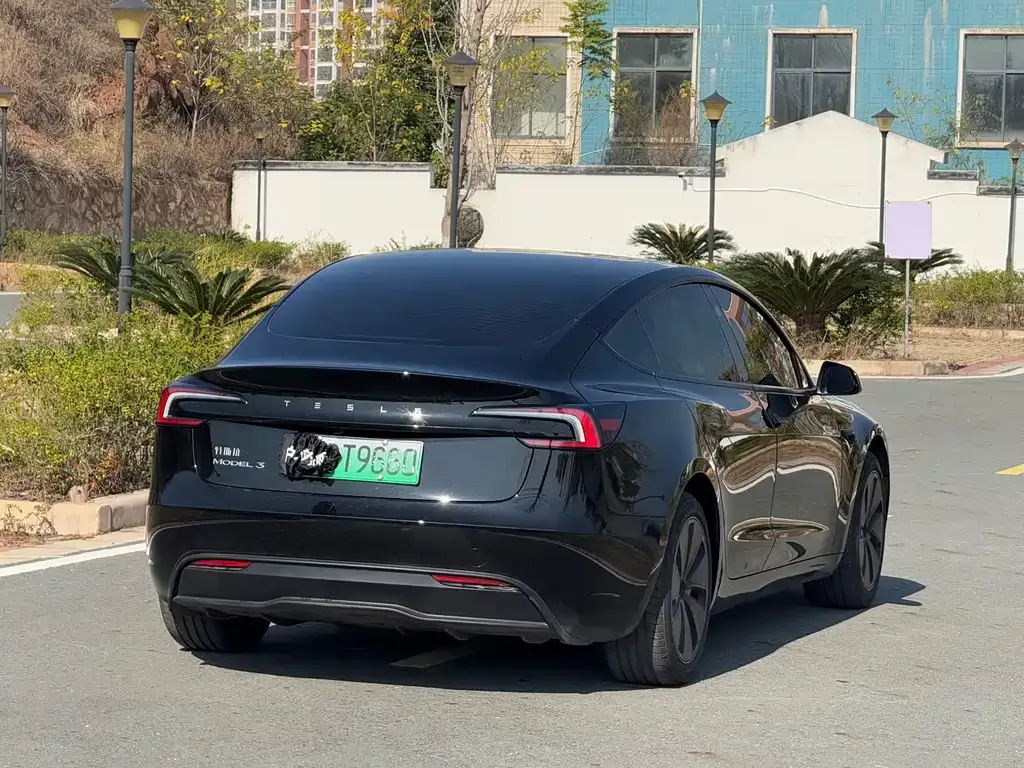Tesla Model 3 2025 из CN, фото 8