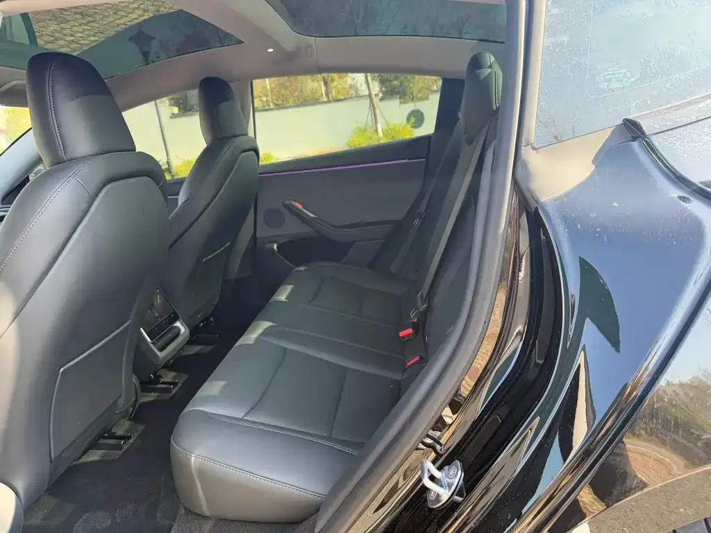 Tesla Model 3 2025 из CN, фото 4