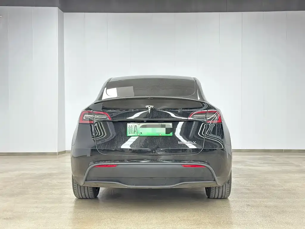 Tesla Model Y 2023 из CN, фото 8
