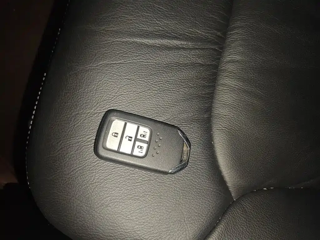 [object Object] Elysion 2021 из CN, фото 9