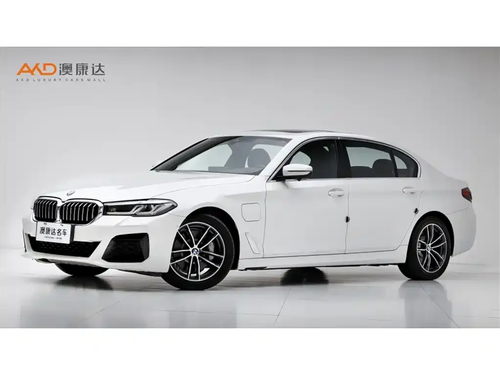 BMW 5 Series New Energy 2021 из CN, фото 1