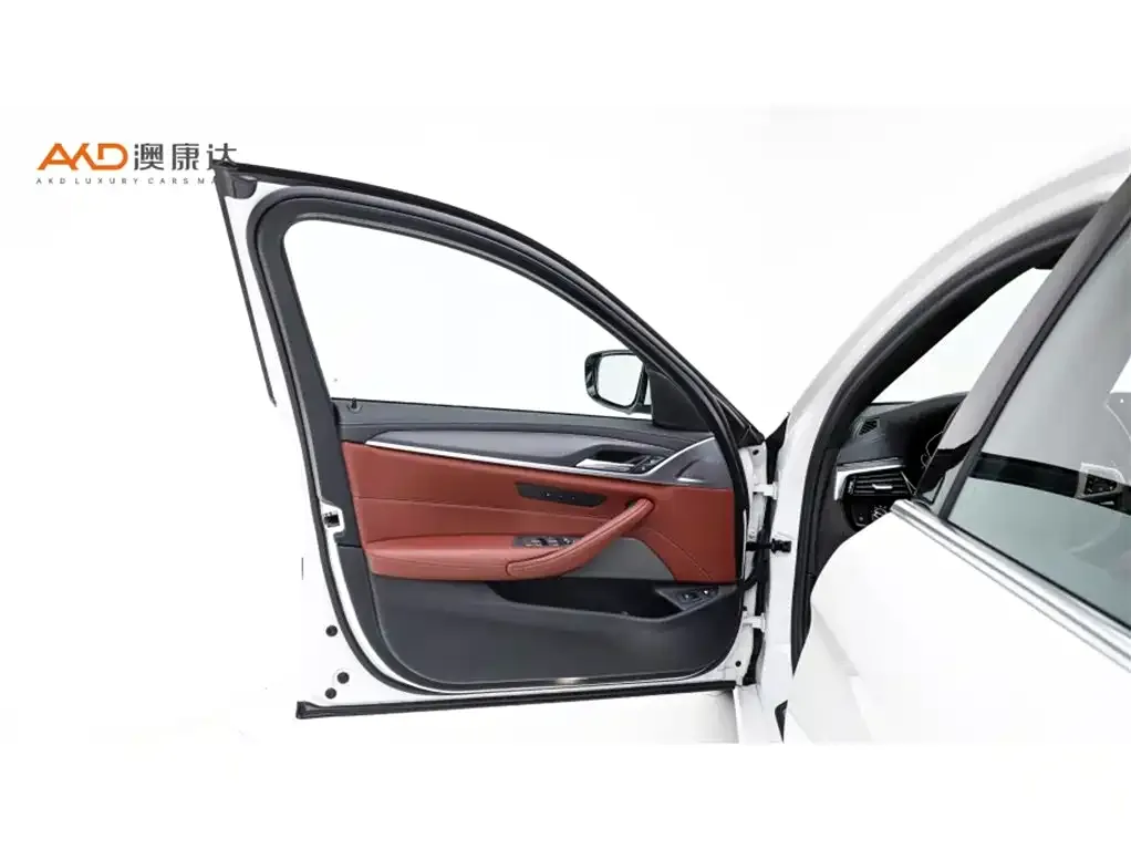 BMW 5 Series New Energy 2021 из CN, фото 9