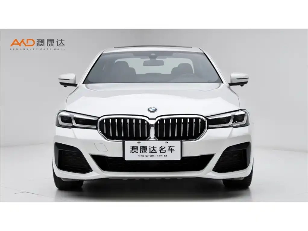 BMW 5 Series New Energy 2021 из CN, фото 8
