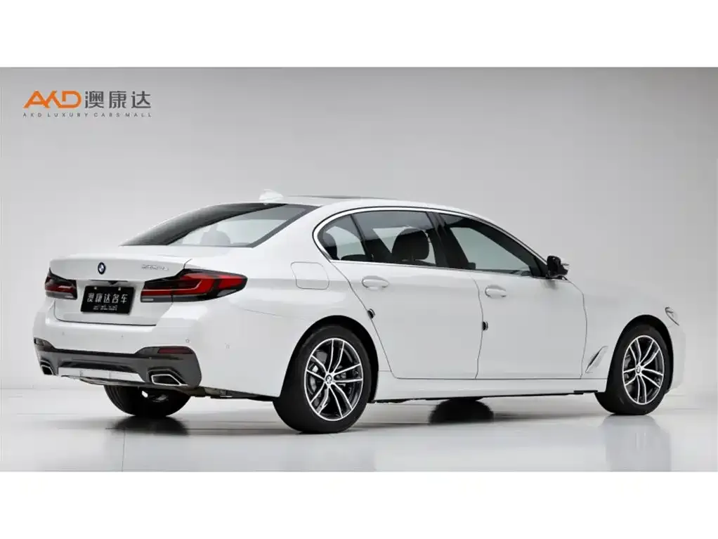 BMW 5 Series New Energy 2021 из CN, фото 4