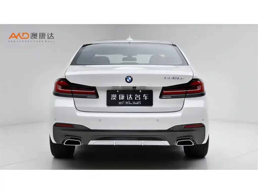 BMW 5 Series New Energy 2021 из CN, фото 2