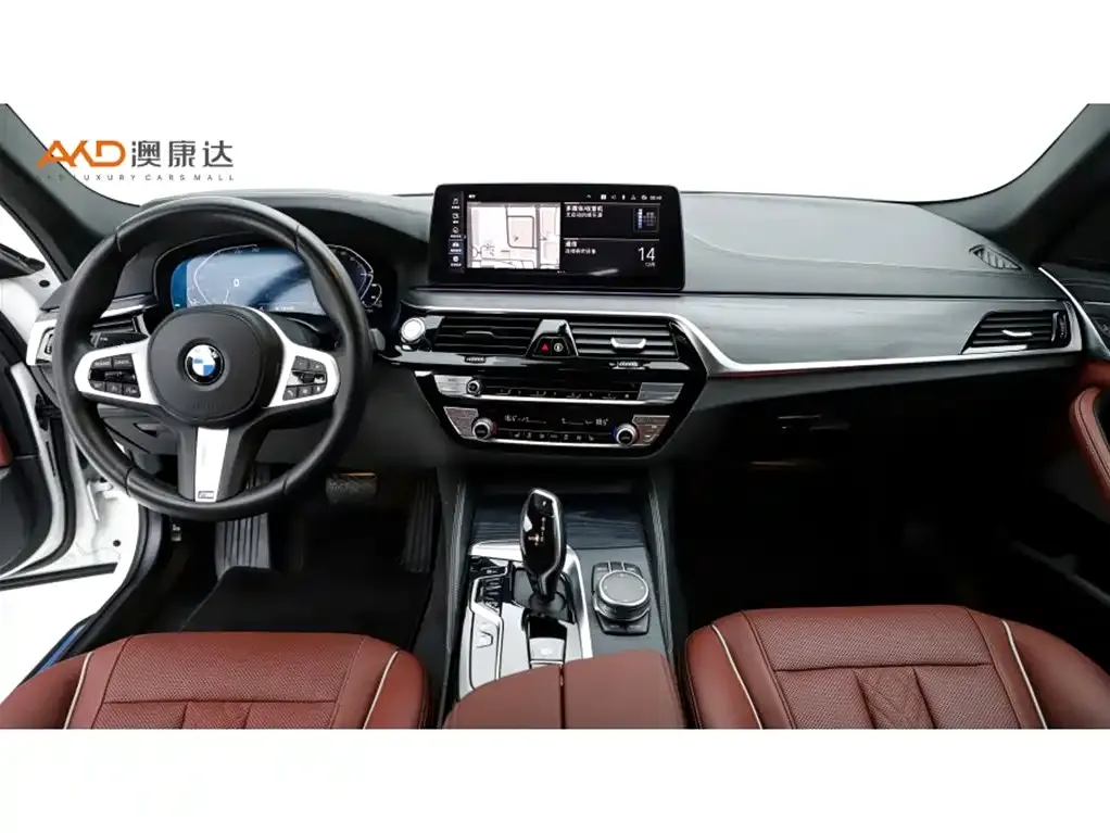 BMW 5 Series New Energy 2021 из CN, фото 10