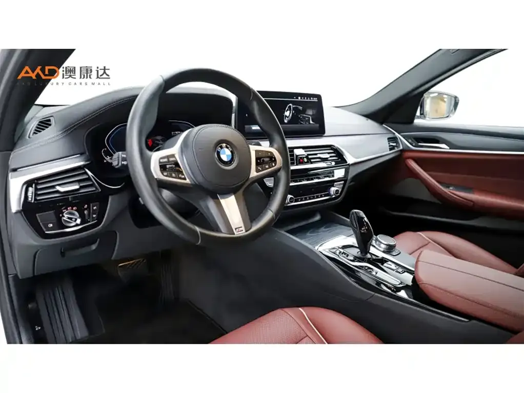 BMW 5 Series New Energy 2021 из CN, фото 3