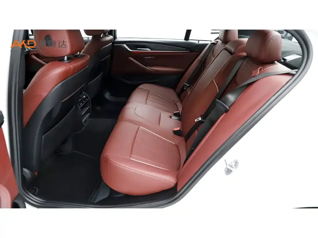 BMW 5 Series New Energy 2021 из CN, фото 5