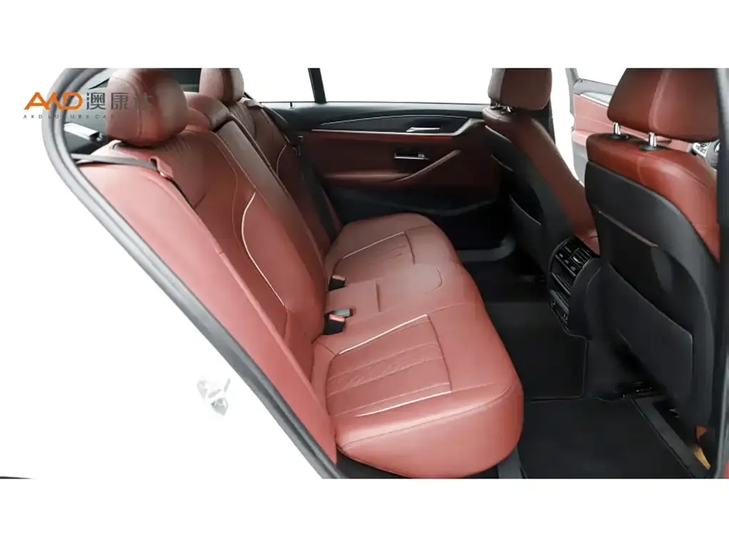 BMW 5 Series New Energy 2021 из CN, фото 6