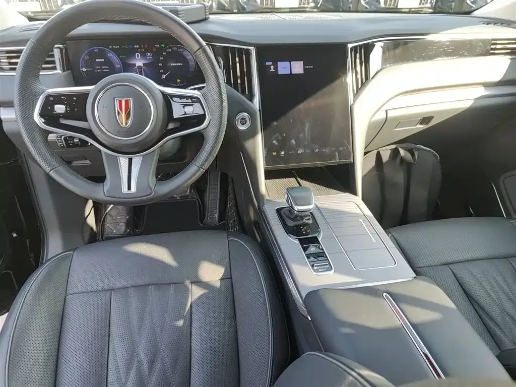 Hongqi HS7 PHEV 2024 из CN, фото 10
