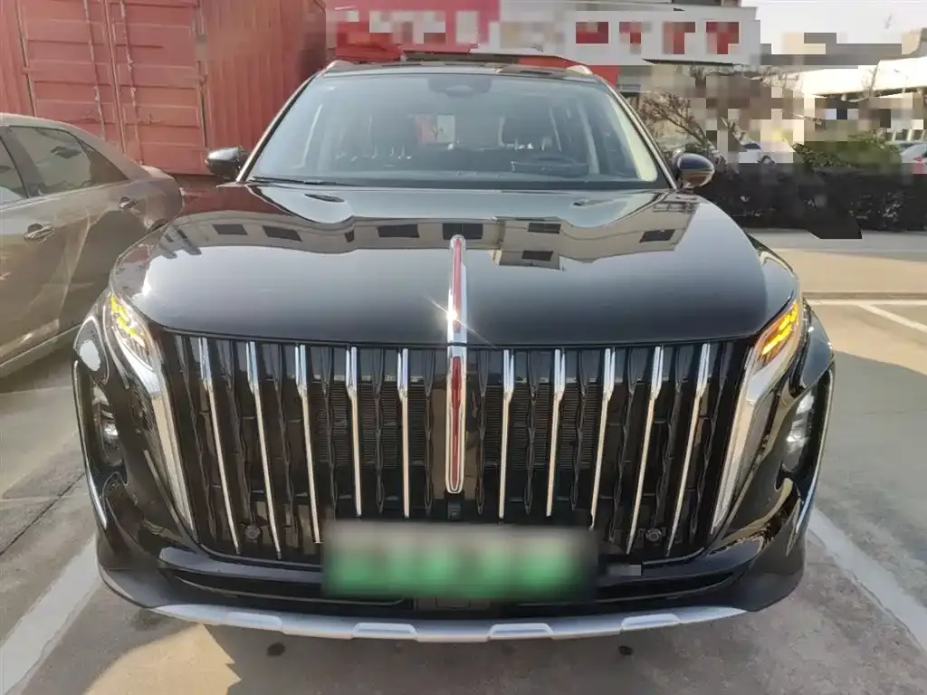 Hongqi HS7 PHEV 2024 из CN, фото 9