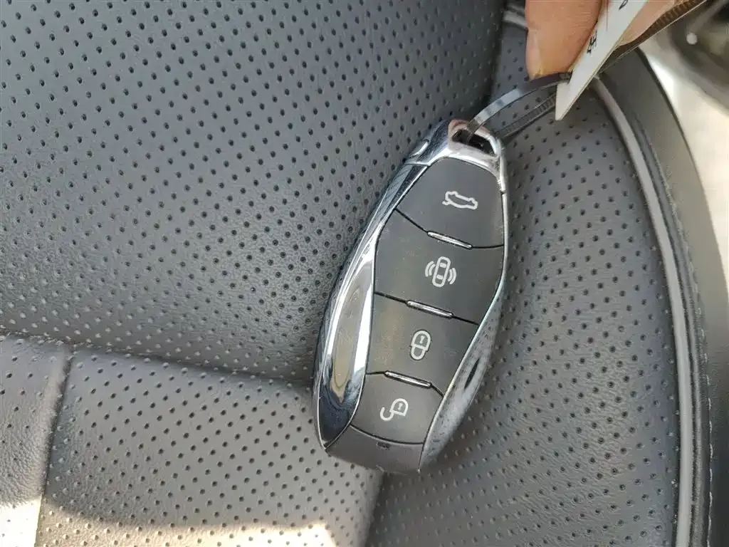 Hongqi HS7 PHEV 2024 из CN, фото 5