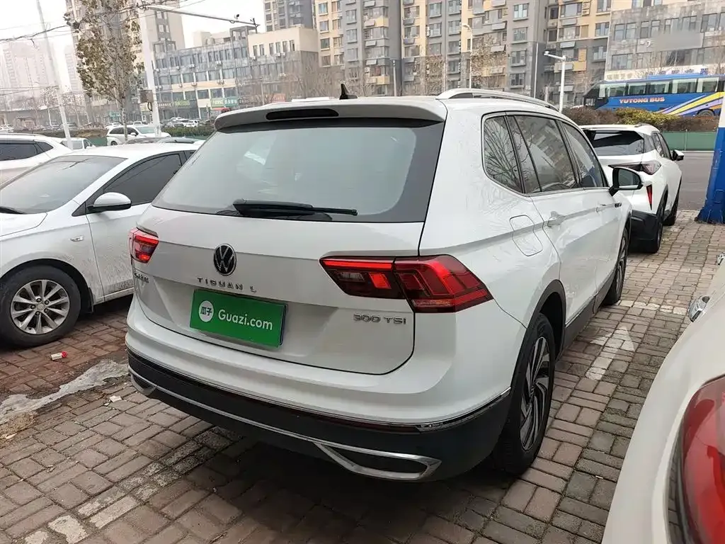 Volkswagen Tiguan L 2023 из CN, фото 8