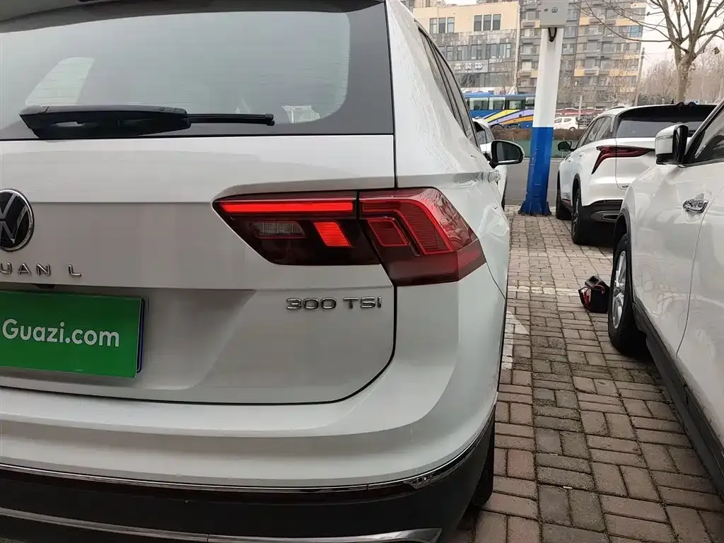Volkswagen Tiguan L 2023 из CN, фото 5