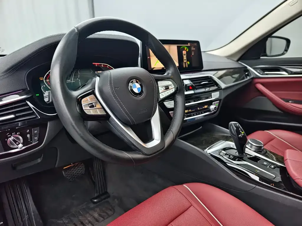 BMW 5 Series 2022 из CN, фото 8