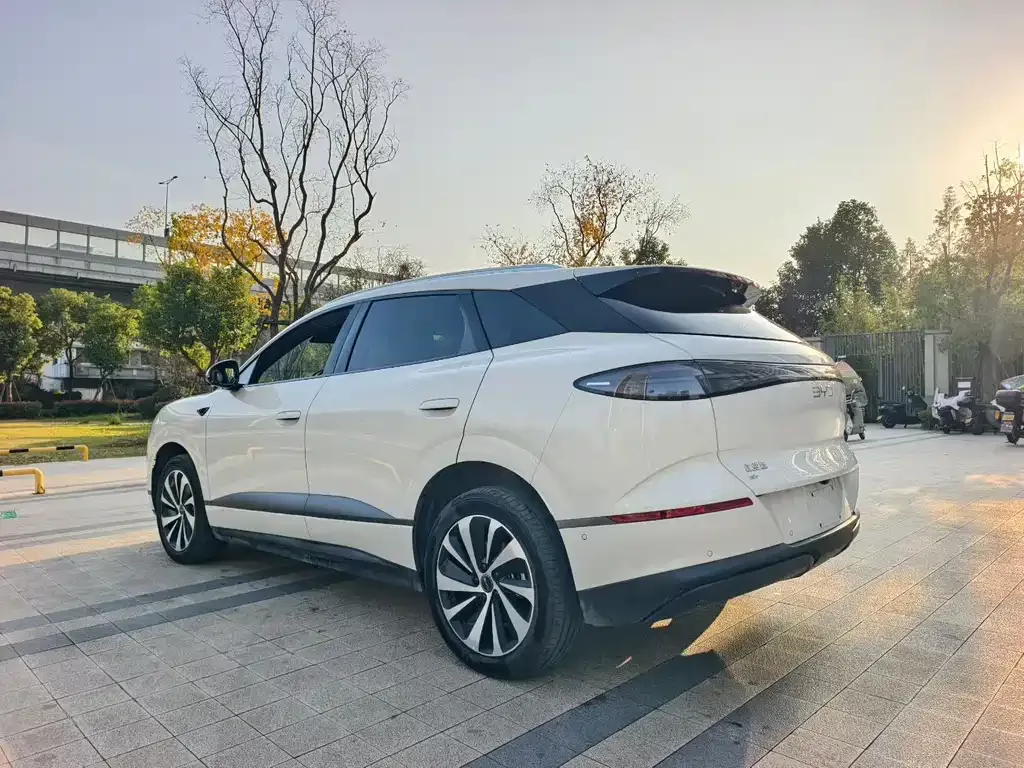 BYD Hiace 06 — фото 4