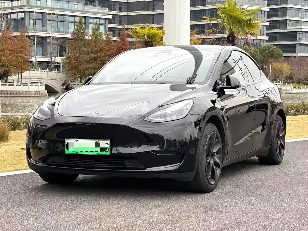 Tesla Model Y 2023 из CN, фото 1