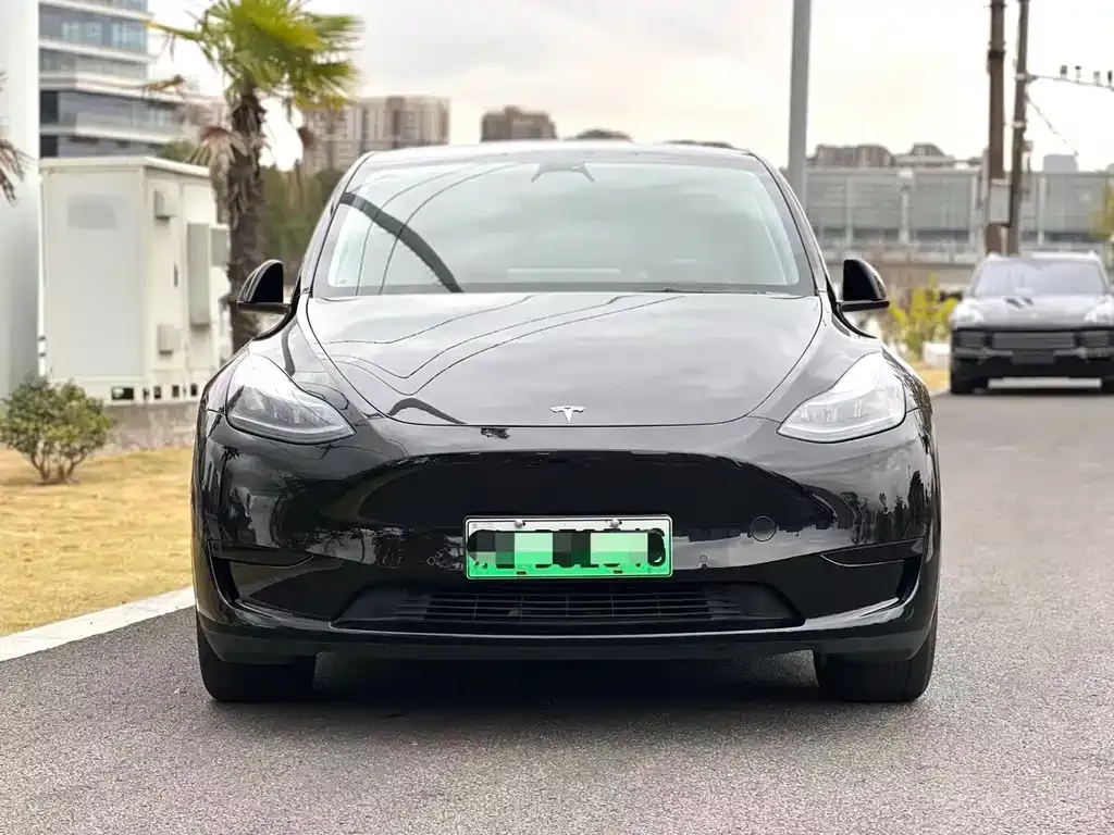 Tesla Model Y 2023 из CN, фото 2