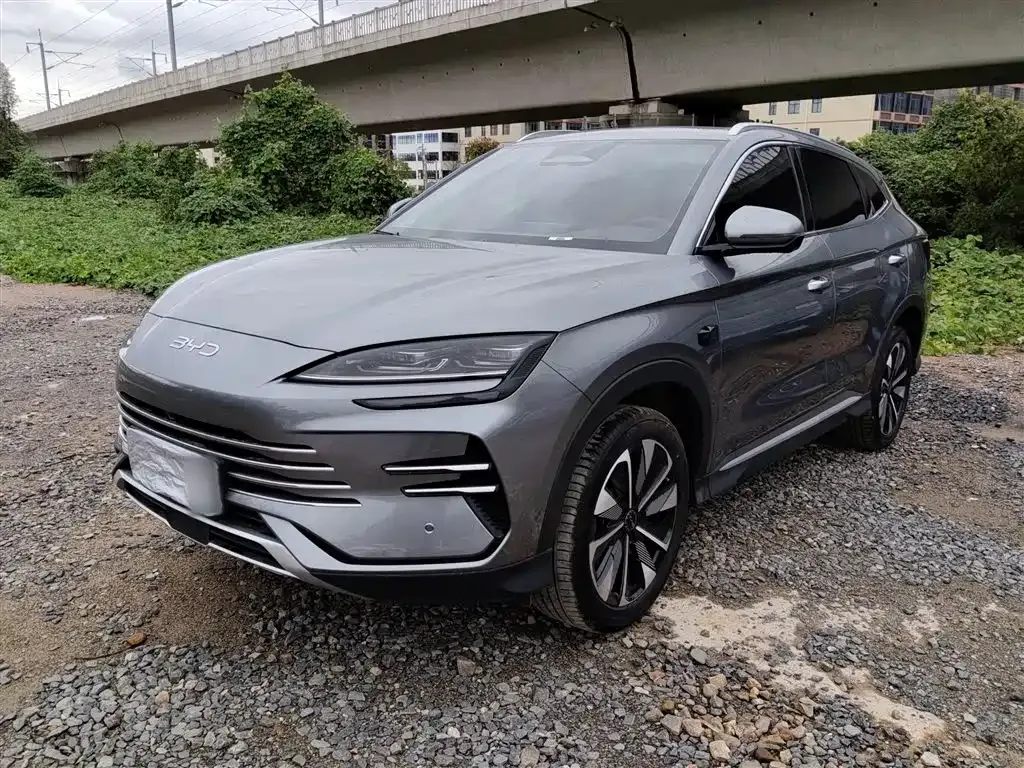 BYD PLUS New Energy 2025 из CN, фото 1