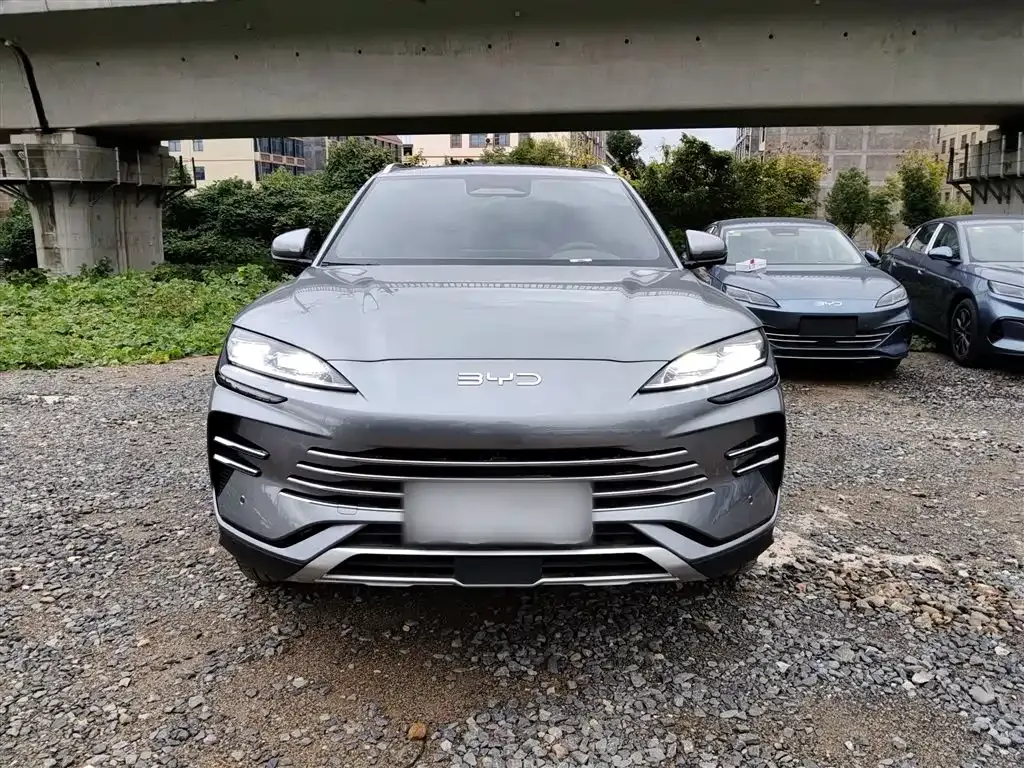 BYD PLUS New Energy 2025 из CN, фото 3
