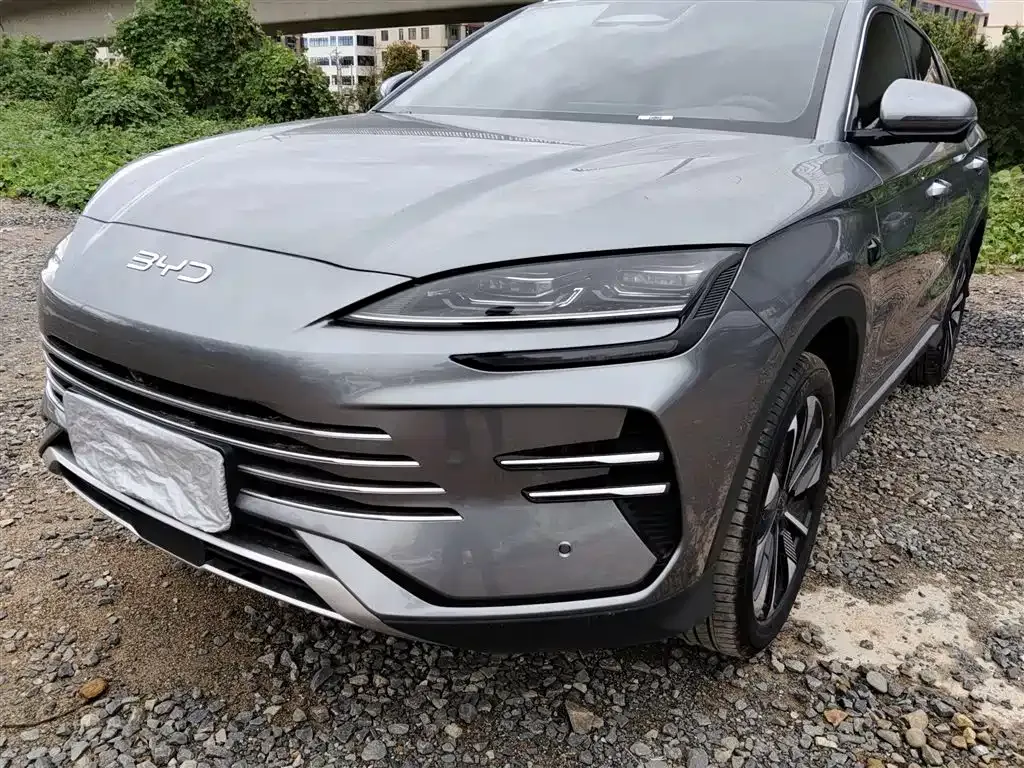 BYD PLUS New Energy 2025 из CN, фото 7