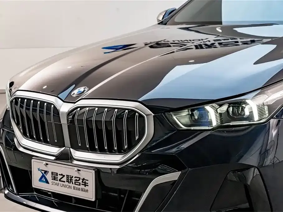 BMW 5 Series 2024 из CN, фото 7