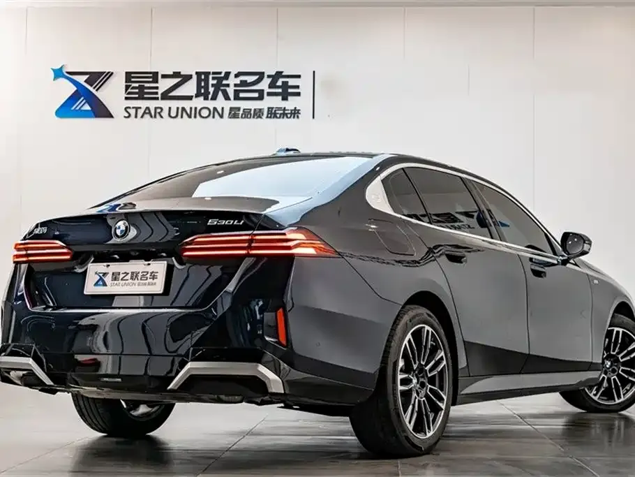 BMW 5 Series 2024 из CN, фото 9