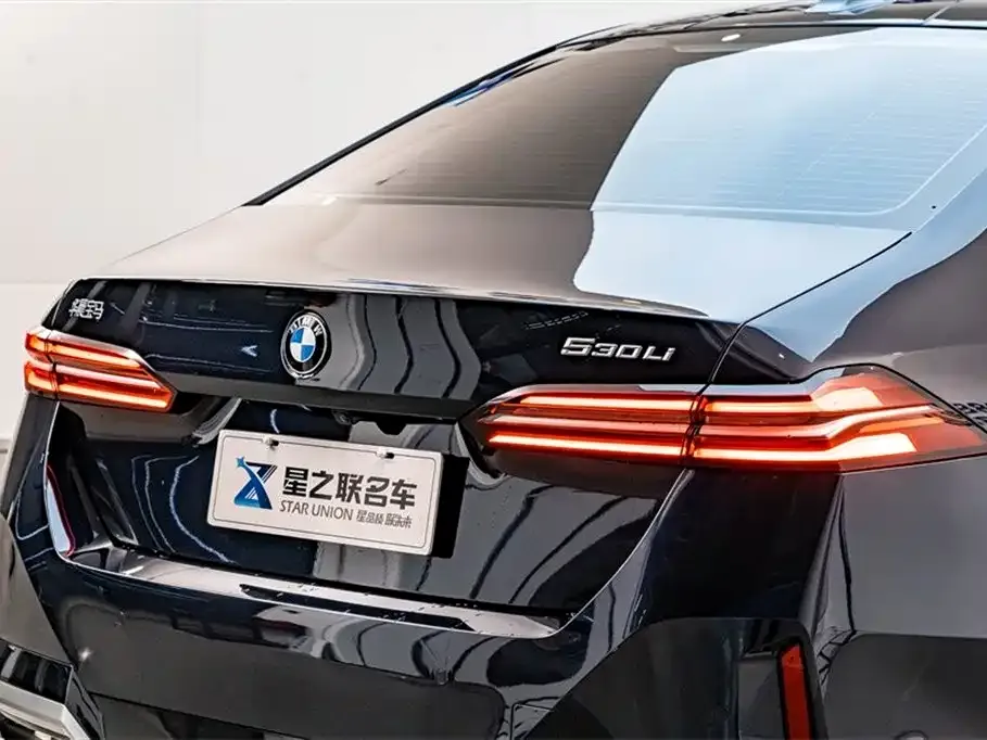 BMW 5 Series 2024 из CN, фото 5