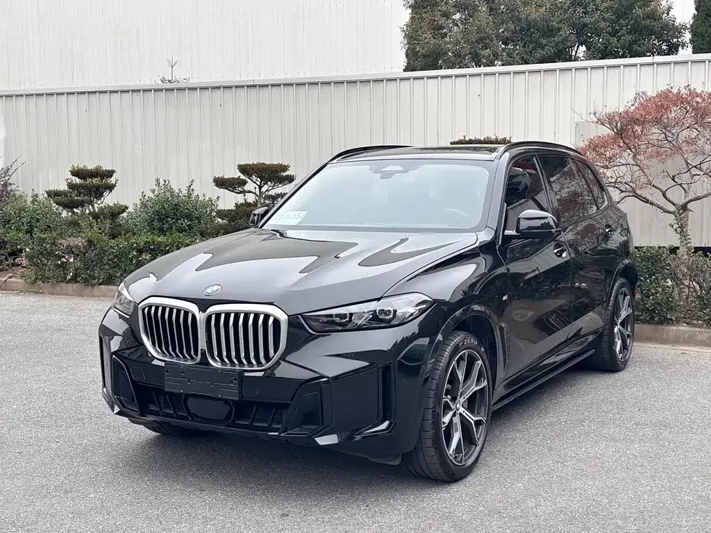 BMW X5 2025 из CN, фото 1