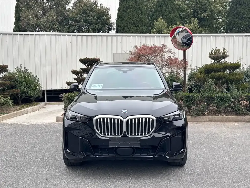 BMW X5 2025 из CN, фото 9