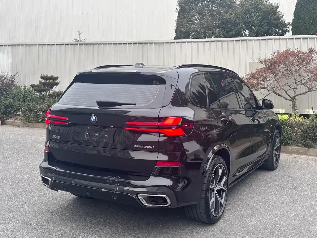 BMW X5 2025 из CN, фото 7