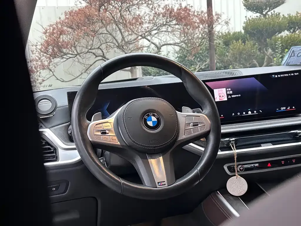 BMW X5 2025 из CN, фото 4