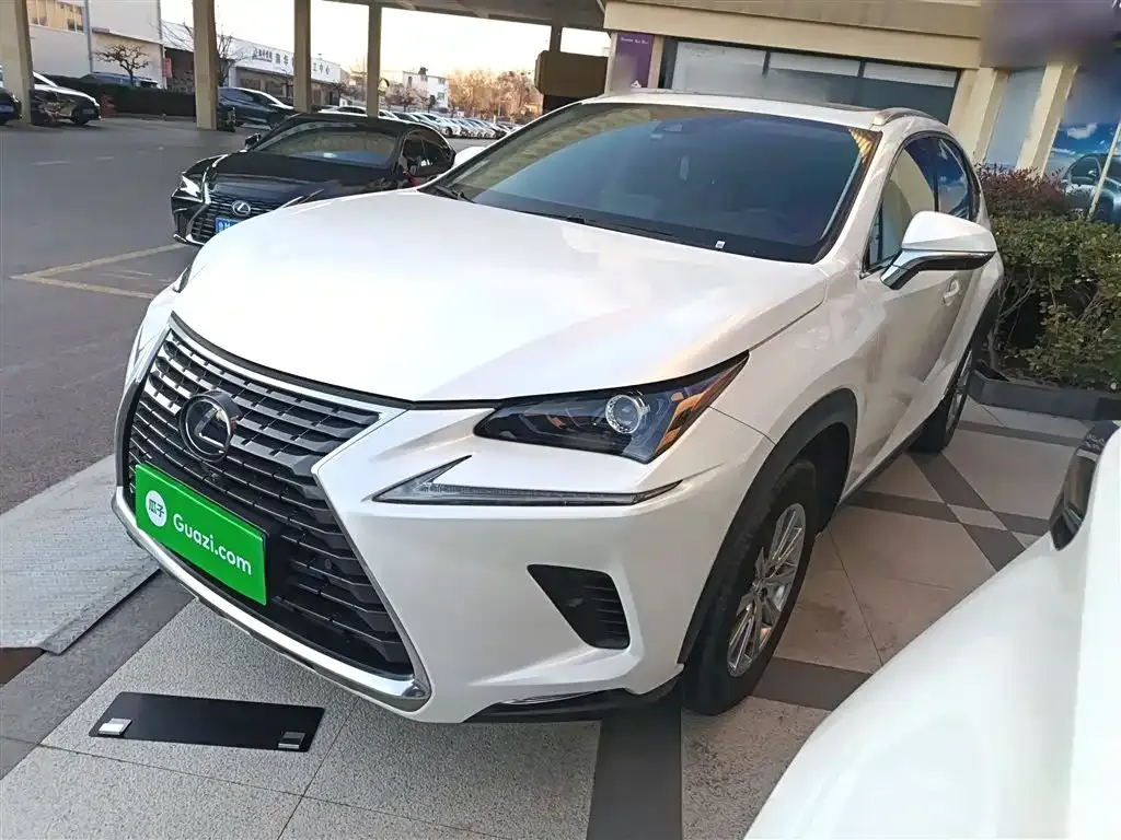 Lexus NX 2021 из CN, фото 7