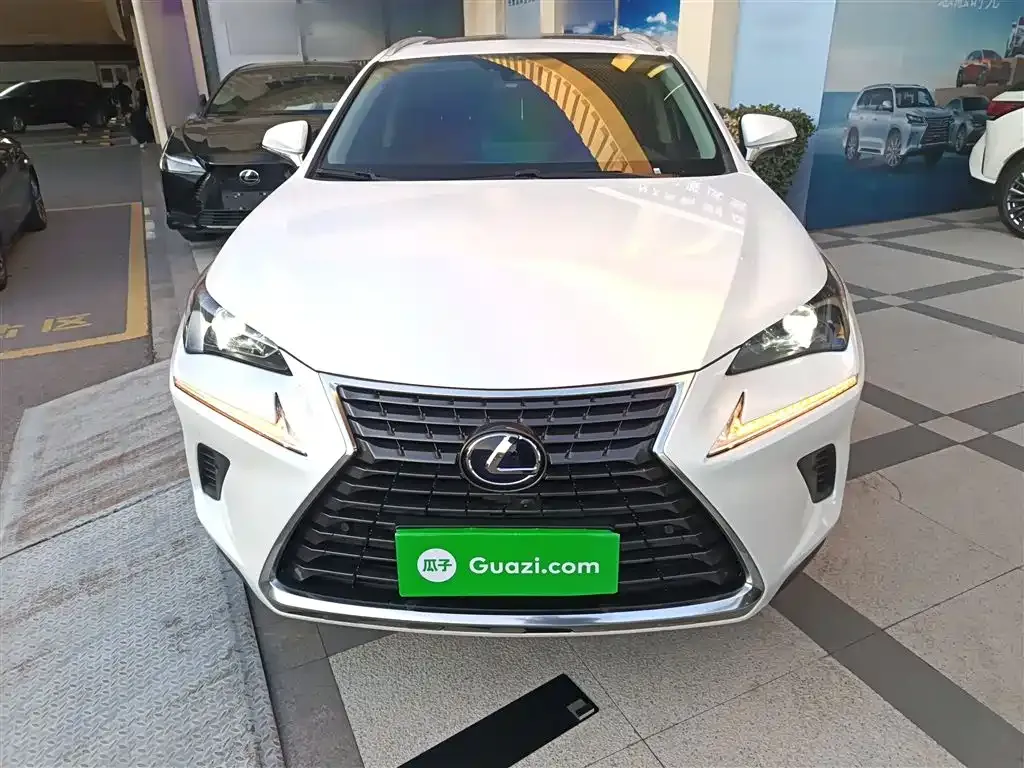 Lexus NX 2021 из CN, фото 8